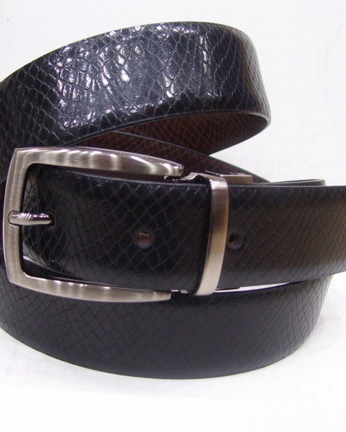 Reversible Belt